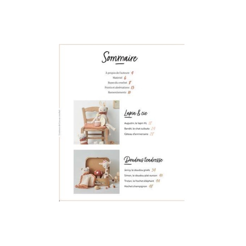 L'univers de Lou au crochet 20 projets...