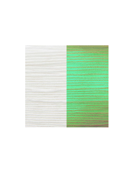 Coton à crocheter phosphorescent Ricorumi blanc Glow In the Dark