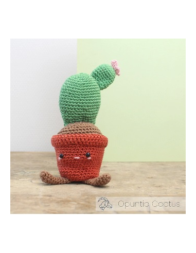 kit cactus au crochet