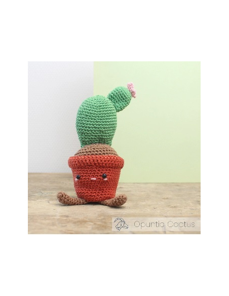 kit cactus au crochet