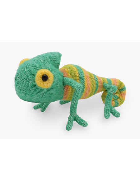 Kit tricot HardiCraft - Casper le caméléon