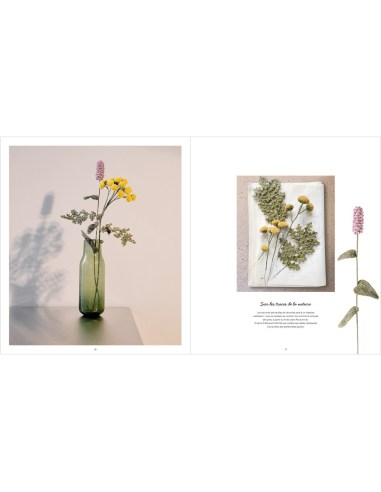 Livret Ricorumi fleurs au crochet "in the meadow"
