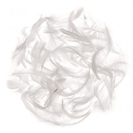 Plumes blanchesmarabout , 10 gr - Glorex
