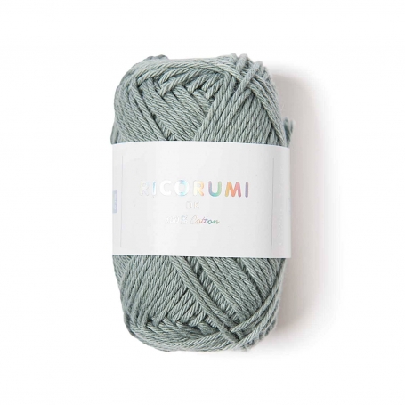 Coton à crocheter Ricorumi 25 g patine 038