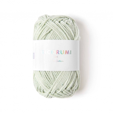 Coton à crocheter Ricorumi 25 g menthe 041