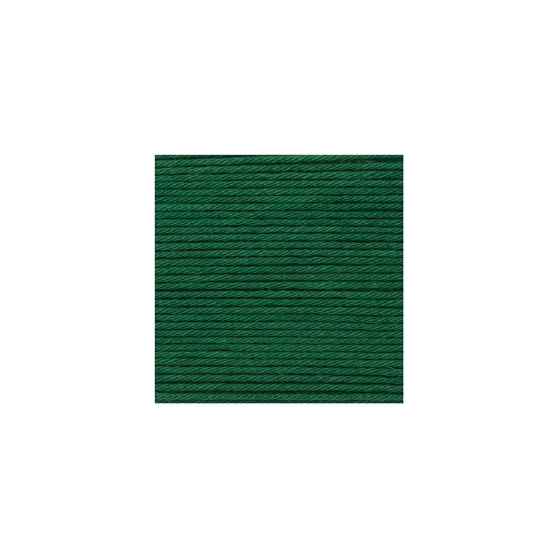 Coton à crocheter Ricorumi 25 g vert sapin 050