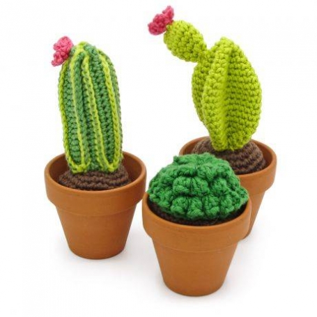 Kit crochet HardiCraft - petits cactus