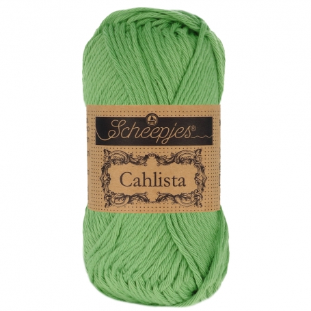 coton scheepjes cahlista vert forêt