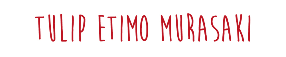 Crochet Tulip Etimo Murasaki